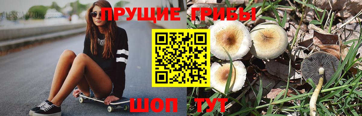 Псилоцибиновые грибы Magic Shrooms Карабулак