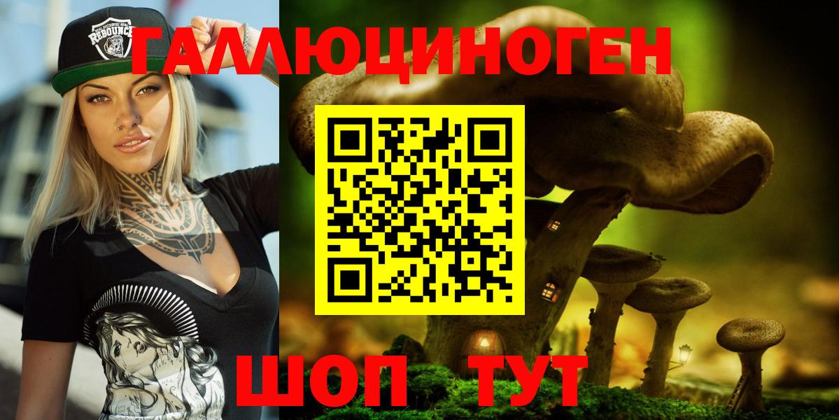 Карабулак  Галлюциногенные грибы Cubensis  Вход с VPN  Псилоцибиновые грибы GOLDEN TEACHER 